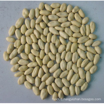 Competitive Blanched Peanut Kernel (25/29)